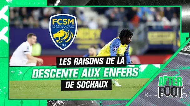 Ligue 2 : Les raisons de la descente aux enfers de Sochaux, proche du dépôt de bilan