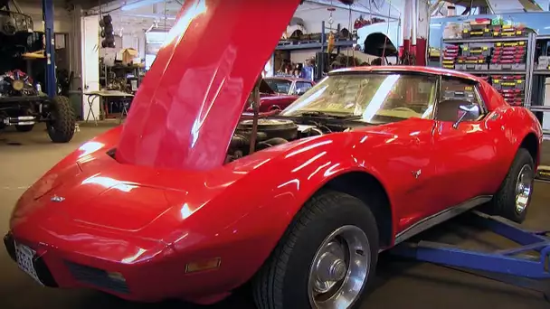 Corvette Stingray et Cobra 1965 - Vintage Motors