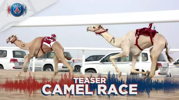 CAMEL RACE : AN AMAZING EVENT COMING SOON