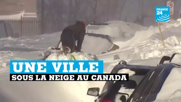 Canada : blizzard historique à Saint-Jean de Terre-Neuve