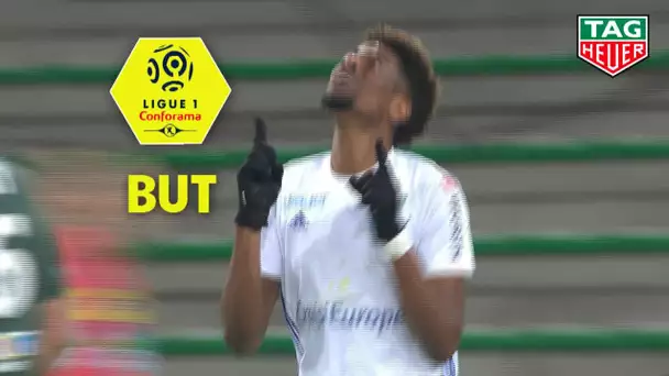 But Nuno DA COSTA (73') / AS Saint-Etienne - RC Strasbourg Alsace (2-1)  (ASSE-RCSA)/ 2018-19