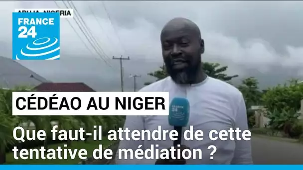 Une délégation de la Cédéao au Niger : que faut-il attendre de cette tentative de médiation ?