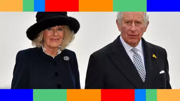 👑  Charles et Camilla : leur fils caché supposé s'adresse directement à la reine Elizabeth !