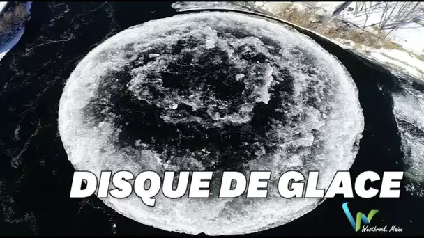 Ce disque de glace très rare s'est formé au beau milieu d'un cours d'eau