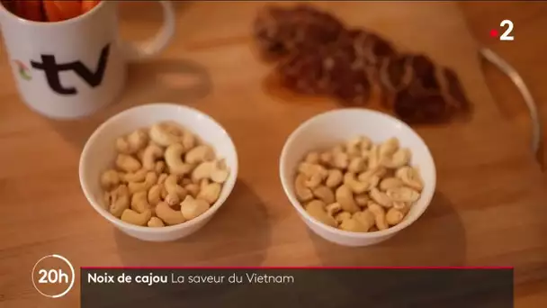 Noix de cajou : la saveur du Vietnam