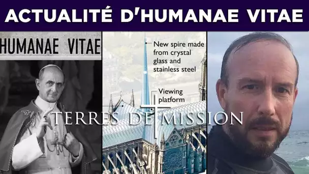 Actualité d&#039;Humanae Vitae - Terres de Mission n°130