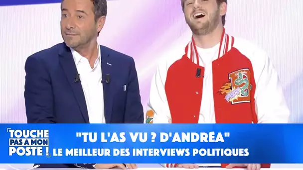 "Tu l'as vu ? d'Andréa" : le meilleur des interviews politiques