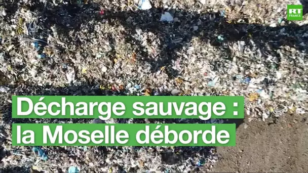 EXPORT CLIP DÉCHARGE SAUVAGE VF