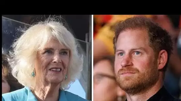 La reine Camilla est « cruciale » pour mettre fin à la querelle « non durable » entre le roi et le p