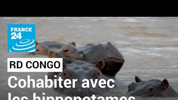 RD Congo: humains et hippopotames, la difficile cohabitation