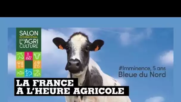 L'agriculture française entre espoirs et inquiétudes à l'ouverture de son Salon