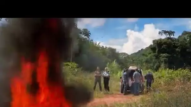 Recrudescence de mules au départ de Cayenne