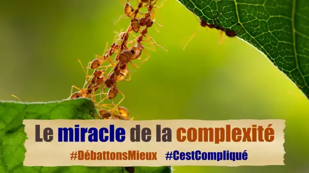 Le miracle de la complexité #DébattonsMieux