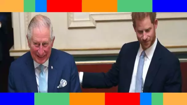 👑  Le prince Charles trop têtu ? Il pourrait ne jamais pardonner à Harry