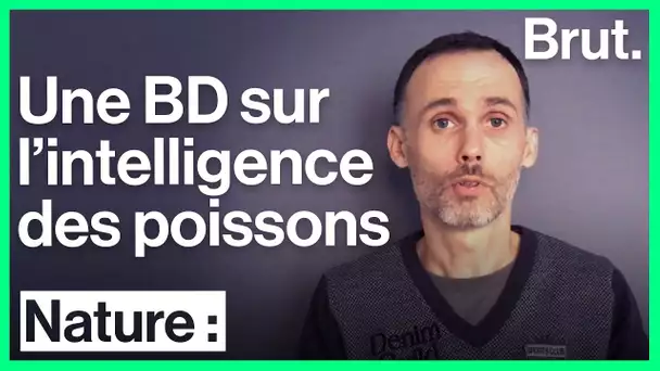 Interview avec Sébastien Moro sur l&#039;intelligence des poissons