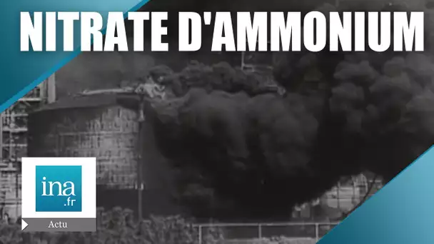 1947 : Explosions de nitrate d'ammonium à Texas City et à Brest | Archive INA