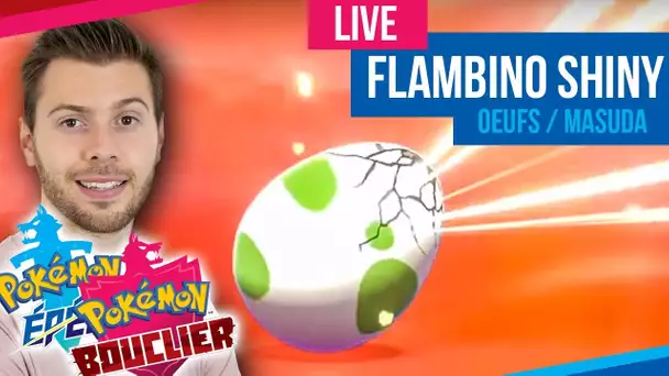 Double chasse FLAMBINO SHINY - Pokémon Epée & Bouclier