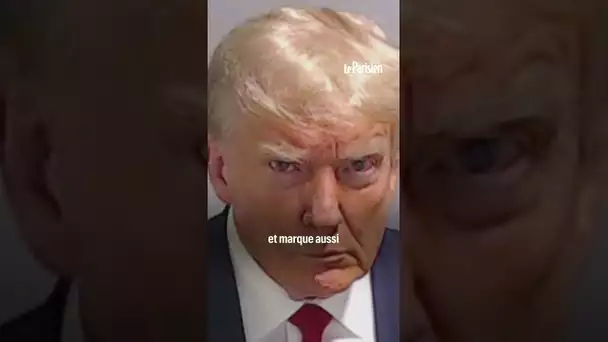 En publiant son « mugshot », Donald Trump dénonce une « parodie de justice » et appelle aux dons