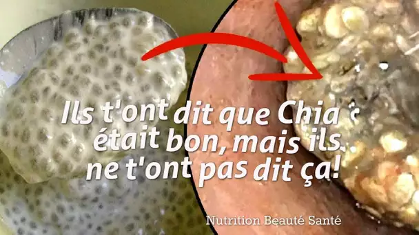 Ils t&#039;ont dit que Chia était bon, Mais est ce qu&#039;il t&#039;ont dit ça ?