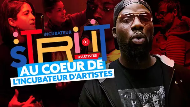 STRI-IT : Au coeur du programme d'incubateur d'artistes