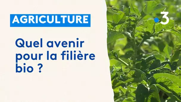 Agriculture : Quel avenir pour la filière bio à Gouzeaucourt