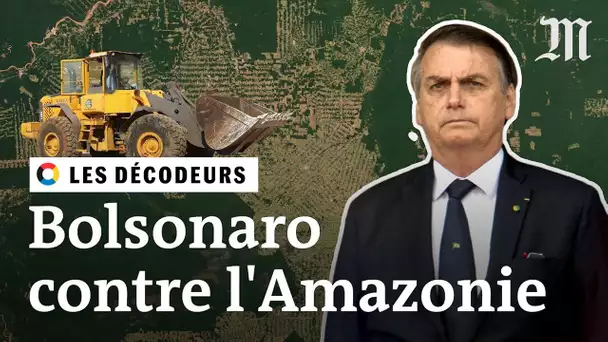 Jair Bolsonaro est-il une menace pour l’Amazonie ?