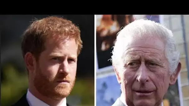 Le roi Charles « perdrait beaucoup de soutien » en « évitant » Harry avec une décision royale clé