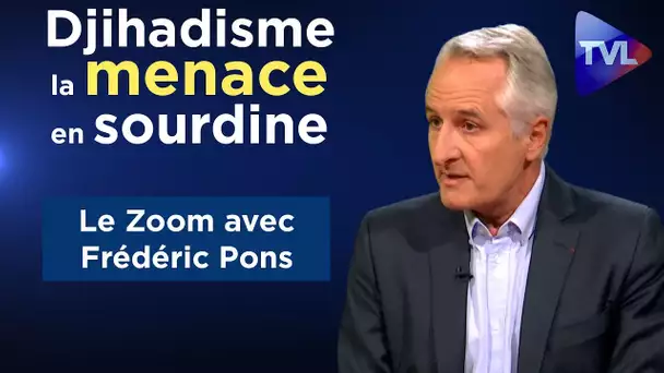 Djihadisme, la menace en sourdine - Le Zoom - Frédéric Pons - TVL