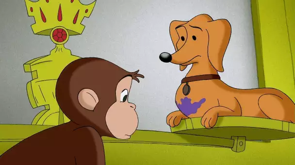 Prince Gaspard 🐵 Georges le Petit Singe 🐵Saison 2 🐵Dessin Animé 🐵Animation Pour Enfants