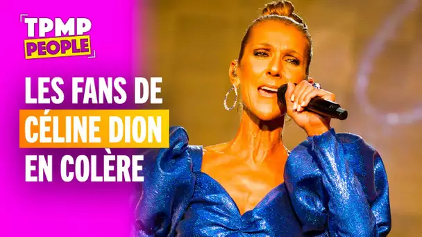 Céline Dion absente du classement des 200 meilleurs chanteurs de tous les temps !