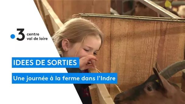 Arpheuilles : idée de sortie dans l'Indre, les portes ouvertes à la ferme