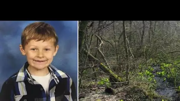 Un garçon de 6 ans disparaît dans le forêt. Le lendemain, les secouristes entendent des sons .....