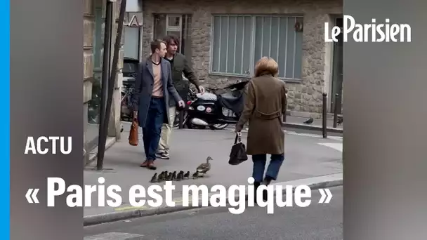 Ces canards aidés par une parisienne ont fait fondre des millions de personnes