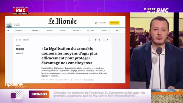 31 sénateurs socialistes plaident en faveur de la légalisation du cannabis en France