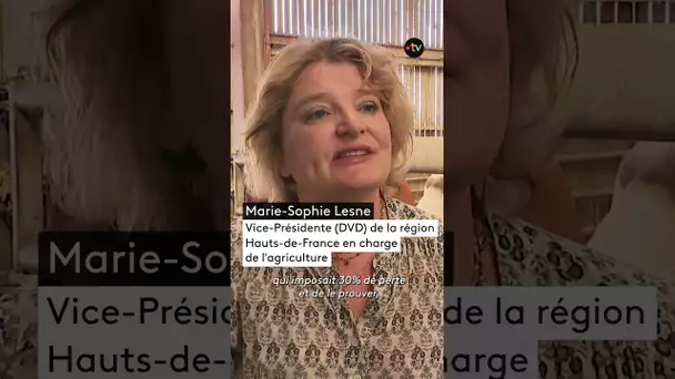 Des fonds européens débloqués pour indemniser les éleveurs touchés par la fièvre catarrhale