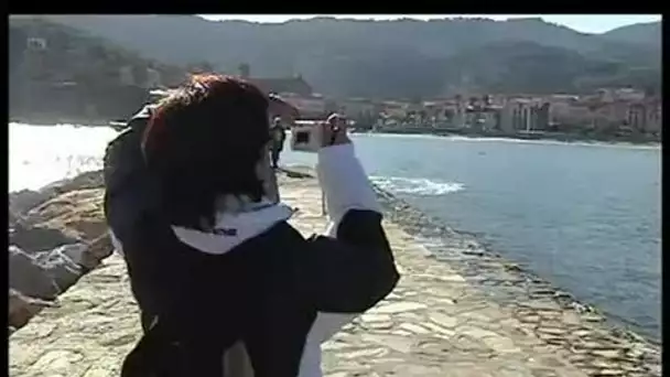 [Vacanciers à Collioure]