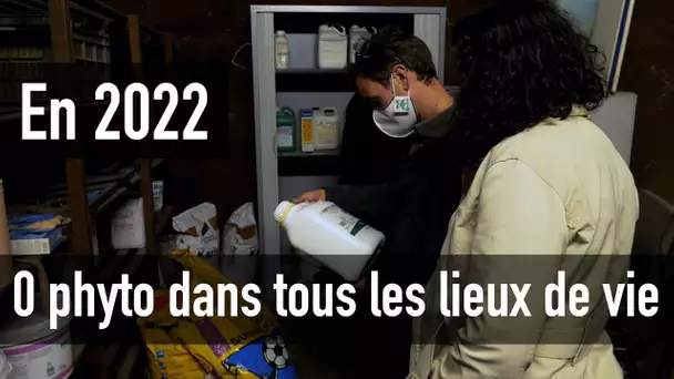 Comment se passer de pesticides dans les cimetières, les stades et tous les lieux de vie ?