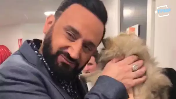 Cyril Hanouna gaga avec sa chienne Nala dans les coulisses de TPMP (exclu vidéo)