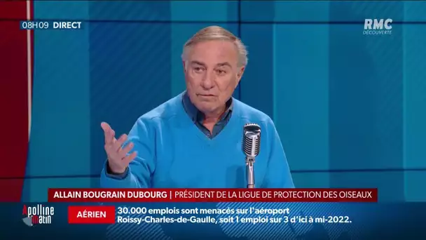 La justice européenne s’attaque à la chasse à la glu, la pratique pourrait être interdite en France