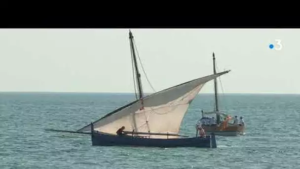 Port-Barcarès : rassemblement de barques catalanes