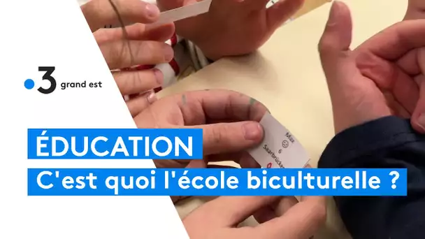 S'initier à l'allemand dès la maternelle à Metz