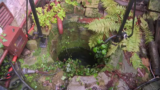 Découverte d'un cours d'eau sous le restaurant de l'Auberge du Bon Fermier à Valenciennes.