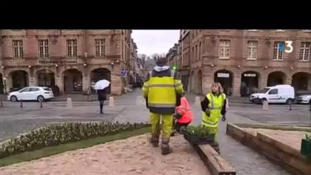 Charleville-Mézières: le printemps approche et les fleurs reviennent !