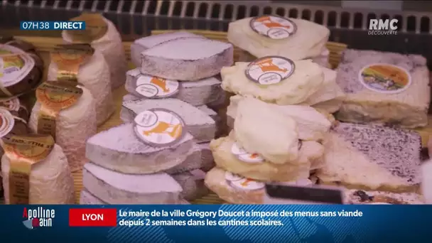 Si, l'addiction au fromage est bien une réalité
