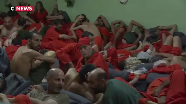 Syrie : des milliers de combattants de Daesh détenus par les Kurdes dans la prison de Hassaké