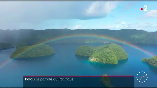 Palau : Le paradis du Pacifique