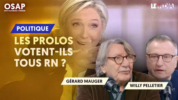 LES PROLOS VOTENT-ILS TOUS RN ? | GÉRARD MAUGER, WILLY PELLETIER