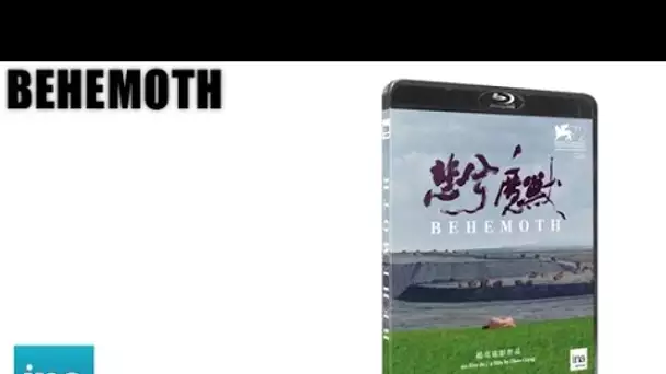 Behemoth en Blu-ray | INA EDITIONS