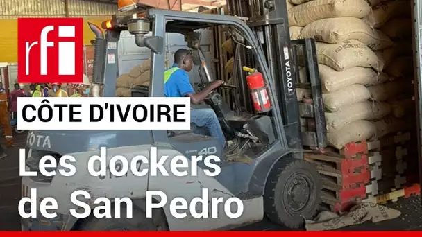 Côte d'Ivoire : moins de travail et plus de précarité pour les dockers de San Pedro • RFI
