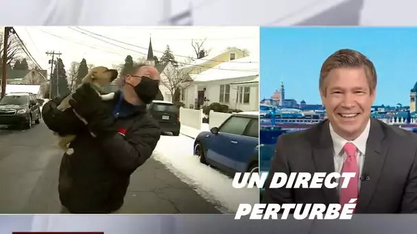 Ce chiot a perturbé le direct météo de ce journaliste, mais c'est pas plus mal